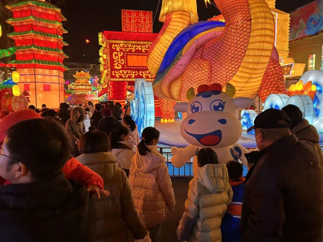 央視直播鄭州龍年燈會(huì)迎新春，花花牛品牌上大分