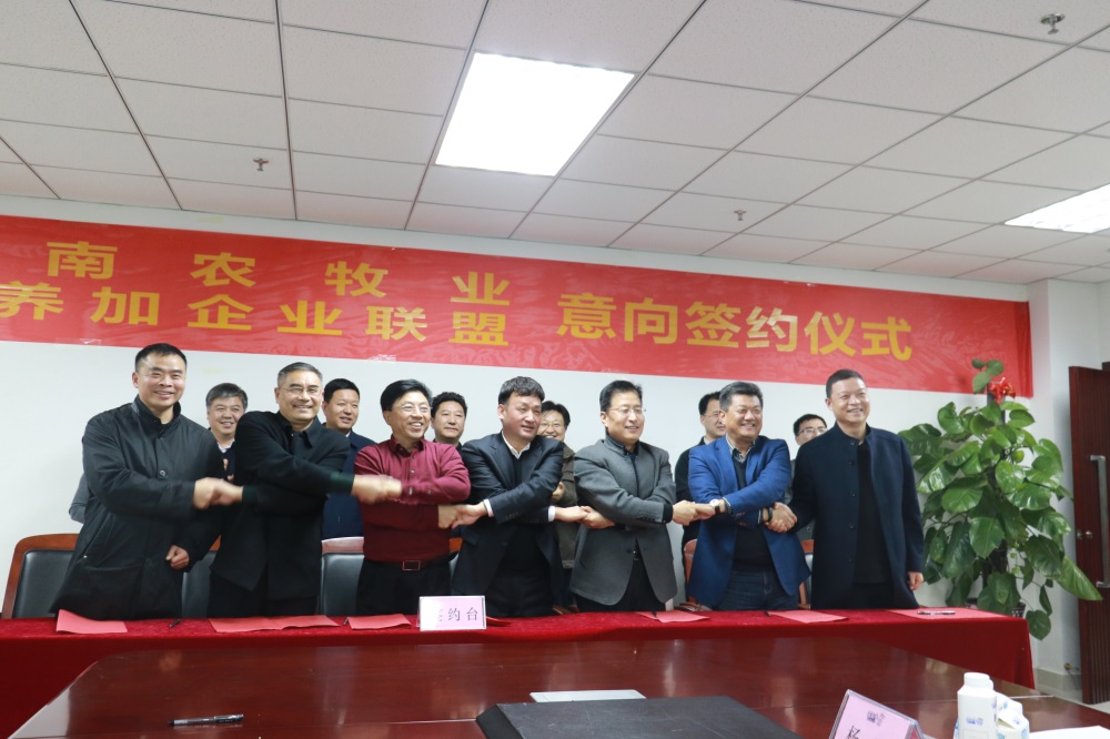 涉農(nóng)企業(yè)強強聯(lián)合，“抱團(tuán)取暖”共迎企業(yè)發(fā)展的春天