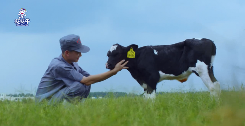 中國動物衛(wèi)生流調(diào)中心首席科學家范偉興一行蒞臨花花牛郟縣發(fā)展、魯山瑞亞參觀調(diào)研