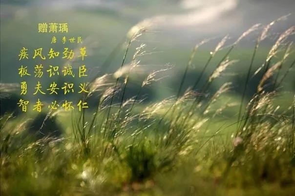 花花牛 | 疾風(fēng)來(lái)臨，你是不是勁草？
