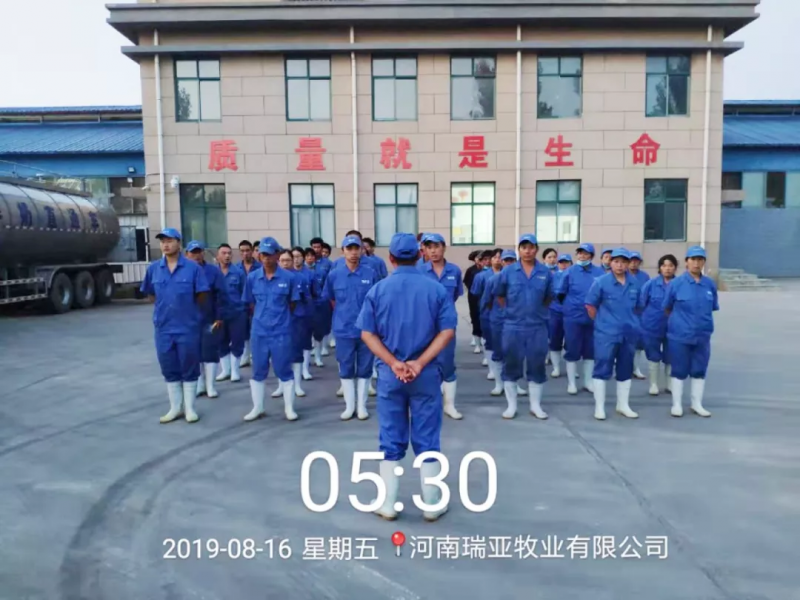 小晨會(huì)·大能量——砥礪奮進(jìn)的花花牛，加油！